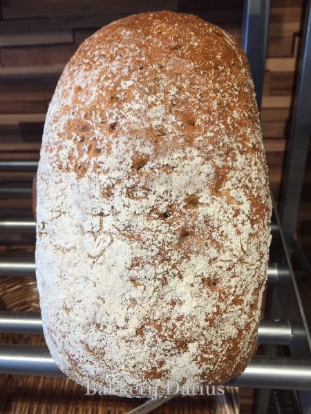 Darius - zes granen brood